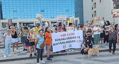 Hayvanseverlerden ABB'ye 'sokak hayvanları' tepkisi