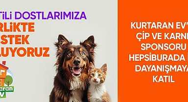 Hepsiburada, Dünya Köpek Günü'nde 'Patili Dostlara Destek' sayfası açtı