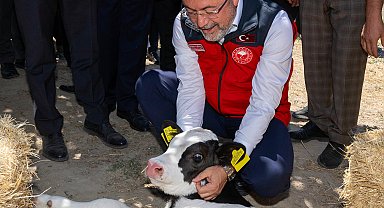 IPARD III Programı için 3'üncü başvuru çağrı ilanı yayımlandı