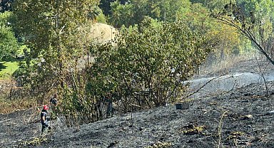 İstanbul-Avcılar'da otluk alanda yangın