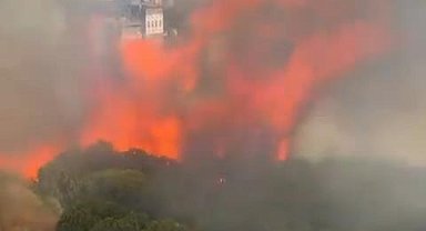 İstanbul - Başakşehir'de otluk alanda çıkan yangın ormana sıçradı-1