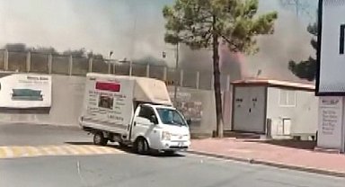 İstanbul - Başakşehir'de otluk alanda yangın