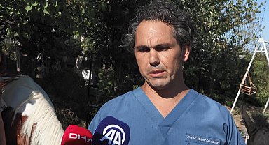 İstanbul - Biyolojik annesi Angora taşıyıcı annesi Ezo: Türkiye'nin ilk tüp tayı 'Balat'