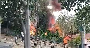 İstanbul- Eyüpsultan'da alevlerin arasında kalan köpeğini kurtardı