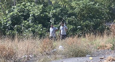 İstanbul - Fatih'te 1 kişinin öldüğü saldırı sonrası bölgedeki sokak köpekleri toplanıyor