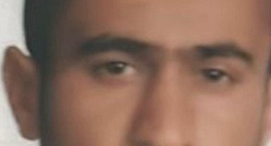 İstanbul-Fatih'te sokak köpeklerinin saldırısına uğrayan bir kişi hayatını kaybetti