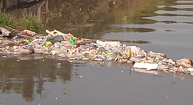 İstanbul - Kadıköy ve Beykoz'da şiddetli yağış sonrası derelerde çöp yığınları oluştu