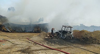 İstanbul-Silivri'de samanlıkta çıkan yangın ahıra sıçradı
