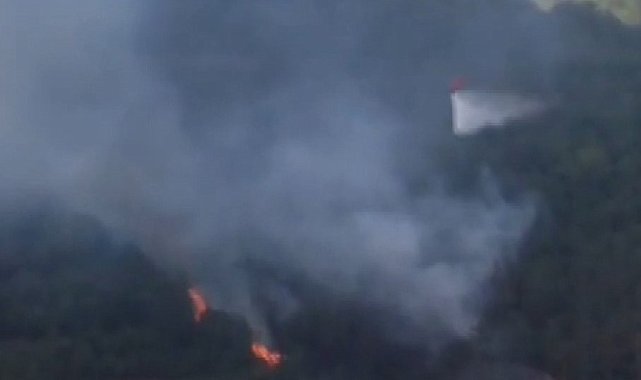 İstanbul-Sultangazi Kent Ormanı'nda yangın