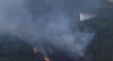 İstanbul-Sultangazi Kent Ormanı'nda yangın