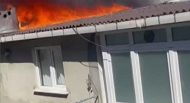 İstanbul - Sultangazi'de çatı katındaki yangında muhabbet kuşlarını son anda kurtardı