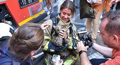 İtfaiye erinin kendi solunum cihazını takarak kurtardığı yavru kedi, sağlığına kavuştu