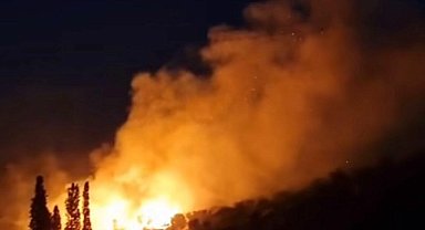 İzmir Karaburun'da çıkan orman yangını söndürüldü; 3 kişi dumandan etkilendi