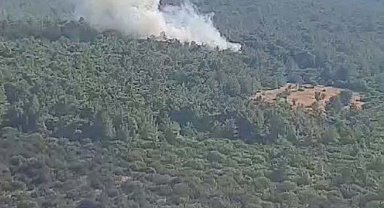İzmir Urla'da orman yangını çıktı