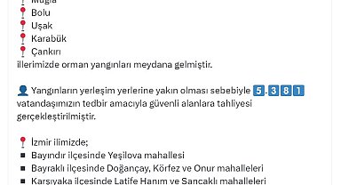 İzmir ve Aydın'daki yangında zarar görenlere nakdi yardım yapılacak