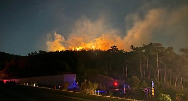 İzmir'de orman yangını; kısa sürede söndürüldü