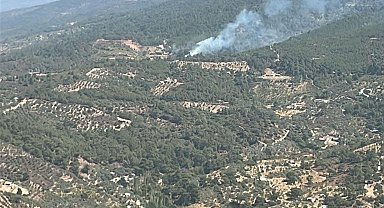 İzmir'de orman yangını