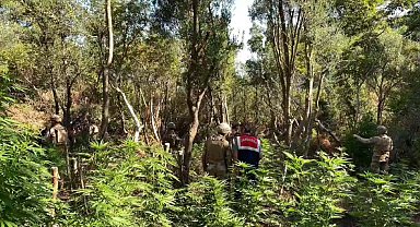 İZMİR'de ormanda uyuşturucu operasyonu: 4 gözaltı