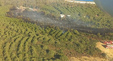 İzmir'deki orman yangını 1,5 saatte söndürüldü