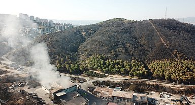 İzmir'deki orman yangınlarına havadan ve karadan müdahale sürüyor