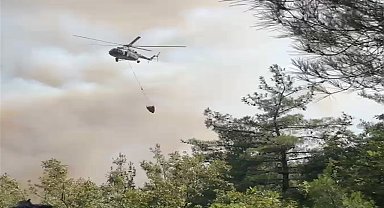 İznik'teki orman yangınında 80 hektar alan zarar gördü