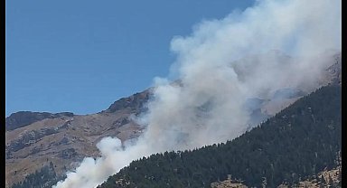 Kahramanmaraş'ta orman yangını söndürüldü
