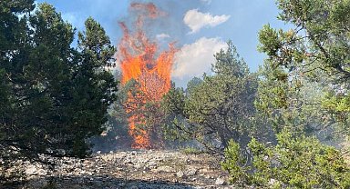 Kahramanmaraş'ta orman yangını