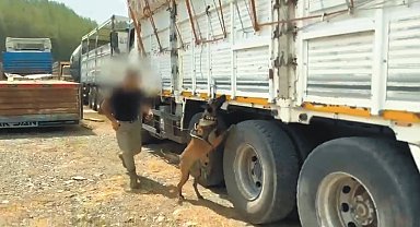 Kamyondaki saman çuvallarından 57 kilo 850 gram 'skunk' çıktı