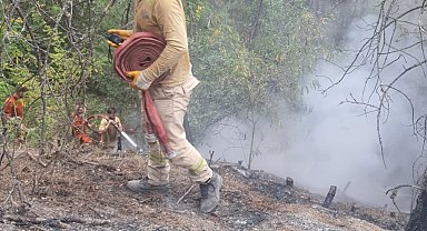 Karabük'te 'yıldırım' düşmesi sonucu çıkan orman yangını söndürüldü