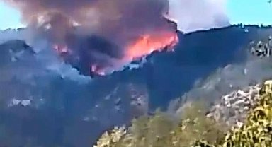 Karabük'te orman yangını