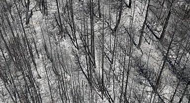 Karabük'te orman yangının tahribatı havadan görüntülendi