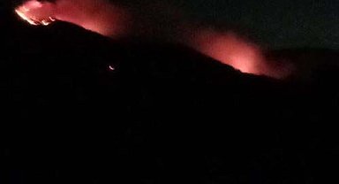 Karşıyaka'da orman yangını