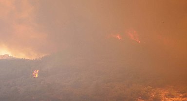 Karşıyaka'daki orman yangınına, havadan müdahale başladı