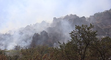 Kayseri'de ot yangını 1 saatte söndürüldü
