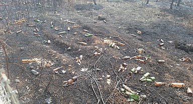 KOCAELİ Dinleme tesisindeki çalılıklarda yangın; çok sayıda içki şişesi bulundu