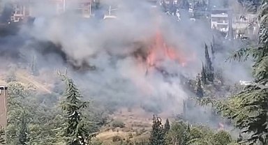 Kocaeli'de ağaçlık ve çalılık bölgede yangın; 60 dönüm alan zarar gördü