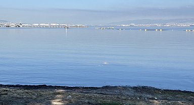 Kocaeli'de denizde ceset bulundu