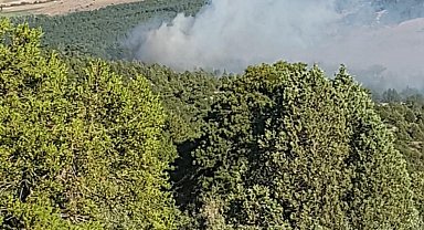 Konya'da orman yangını
