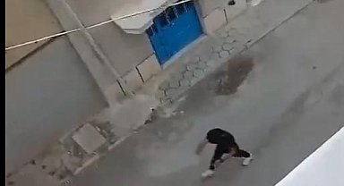 Köpeğine şiddet uygulayınca gözaltına alındı