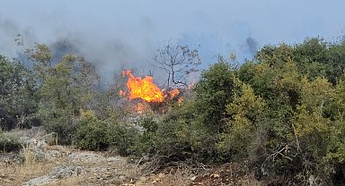 Kozan'da orman yangını