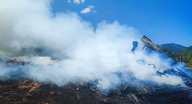 Kulübede çıkan yangında, 140 güvercin ile 1 köpek öldü