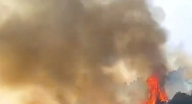 Kulübedeki yangın, zeytin bahçelerine sıçradı