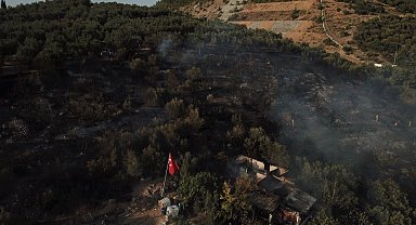Kulübedeki yangın, zeytin bahçelerine sıçradı