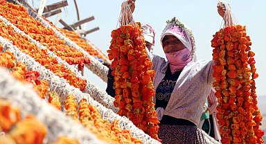 Kurutmalık sezonunda Gaziantep'in yükseklerinde renk cümbüşü