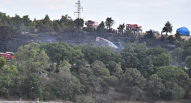 Kütahya'da orman yangınında 10 dekarlık alan yandı