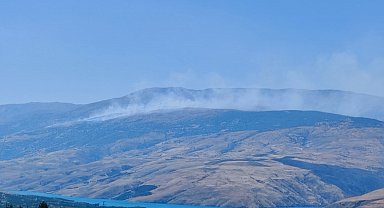 Malatya'da orman yangını