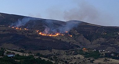 Malatya'da orman yangını