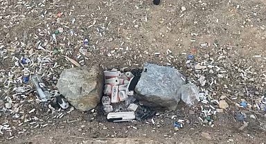 Mangal ateşi 2 dönümdeki ağaç ve çalılıkları yaktı