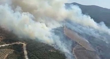 Manisa'da orman yangını