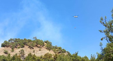 Manisa'da orman yangını